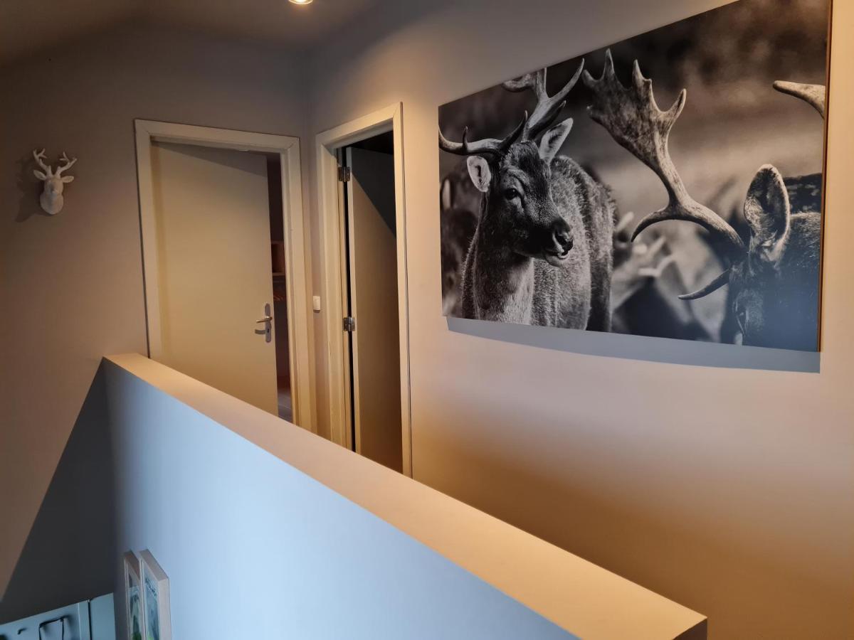 Ardennature Vakantiehuizen Met Prive-Sauna 拉罗什-阿登 外观 照片